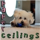 Paper Ceilings - Paper Ceilings